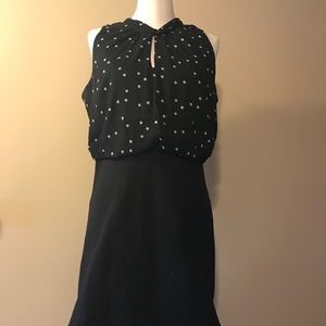 LOFT Knee Length Black and Light blue dress!